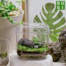 테라리움A | 테라리움 키트 추천, 구매 전 꼭 확인해야 할 선택 기준과 실사용 후기