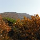 장원초등학교 이미지