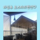 라임휴로즈마리