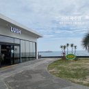795 | 제주 황우치 해안 근처 가볼 만한 곳 러쉬 LUSH 제주점 오픈 방문 후기