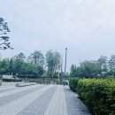 알리다랩 | 제4회 강서 허준런, 서울식물원과 한강을 달릴 수 있는 🏃🌿 올해는 접수 성공을!!, 오늘부터 접수 시작~