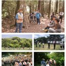 머체왓숲길영농조합법인 이미지