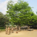 코레스코치악산콘도미니엄 이미지