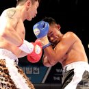 용인대 탑 복싱 이미지