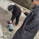 노일호 특수목적견 이미지