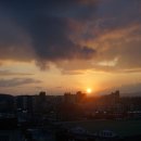 스위트브라운 이미지