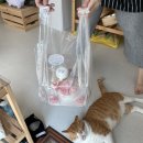 라우리케이크