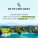 더초록 이미지