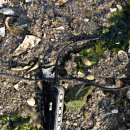 진해루해변공원(진해루옆) 이미지