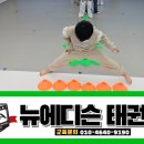 더뉴 태권도장 이미지