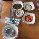 초원농장 | 파주 맛집 초원오리농장 후기 🦆