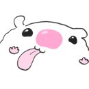 막창로2가삽교곱창