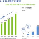 케이그린항공