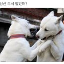 베스트리서치 이미지