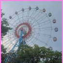 기품있는 태권도장 | 신호동태권도 기품태권도 - 내 아이의 우아한 자태와 훌륭한 인성의 발걸음
