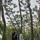 OK부동산공인중개사사무소 이미지