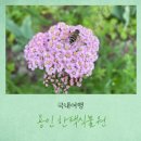 한택식물원 입장료 4월에 아이랑 다녀온 솔직후기