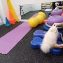 음성동물병원 이미지