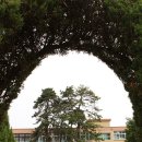 귀래초등학교 이미지