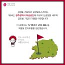 금성전자 이미지