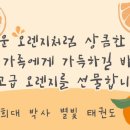 경희대 다산 태권도 이미지
