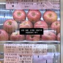 상암 DMC 수색동 과일가게 과일원정대