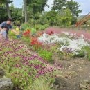 돌담연가 이미지