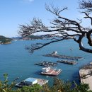 당숲길 | 국내여행지 가볼만한곳 1004신안 섬여행 흑산도1박2일 여행코스