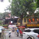 버스정류장 06-162 | [VN, 하노이 여행 1일차 후기] 김해공항 출발 | 노이바이공항 도착 | 86번 버스 | 호안끼엠 ㅣ성...