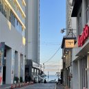 월야 달맞이 공원(추가) | 2025 연말 | 따뜻한 부산에서의 2박3일