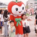 퇴촌핫도그 | 퇴촌 토마토 축제 일정 볼거리, 6월 경기도 광주 가볼만한곳 주차 먹거리 총정리