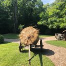 늘푸른소리 농장 이미지