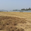 맘에든유치원 이미지