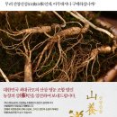 바 삼삼삼