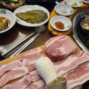 암돼지한판 이미지