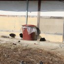 원스농장 이미지