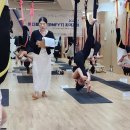 다옴요가&플라잉 | [부산요가 & 해운대요가 & 곧,요가] 곧,요가 플라잉요가 지도자 9기 ‼️ 전원합격 ‼️ / 한국치유요가협회...