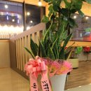 비투제이헤어(B2JHAIR)