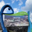 신창싱계물 이미지