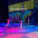 현대 중화권의 영화 : 접경을 넘어 | 상하이 서커스 마시청 서커스 공연 볼거리 추천