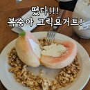 그리드 | 수원 행궁동 카페 추천 그리드인그릭 복숭아그릭요거트 후기 포장가능
