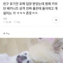 맘스터치 신호점 이미지