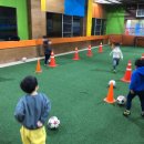 PEC스포츠아카데미 이미지