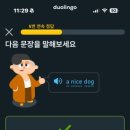 링고영어