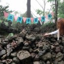 신례동로 이미지