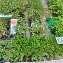 장계농장 이미지