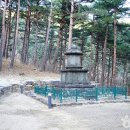 양양 진전사지 도의선사탑 | [강원도 양양군] 양양 진전사지 도의선사탑