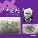 해바라기몬테소리어린이집 이미지