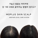모플러스