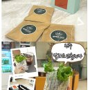 진주팜농약 | [ 진주 상대 ] “살라드앤올되다”/ 직접 만들고 즐기는 건강한 카페 체험, 살라트앤올되다 방문기/ 랩...